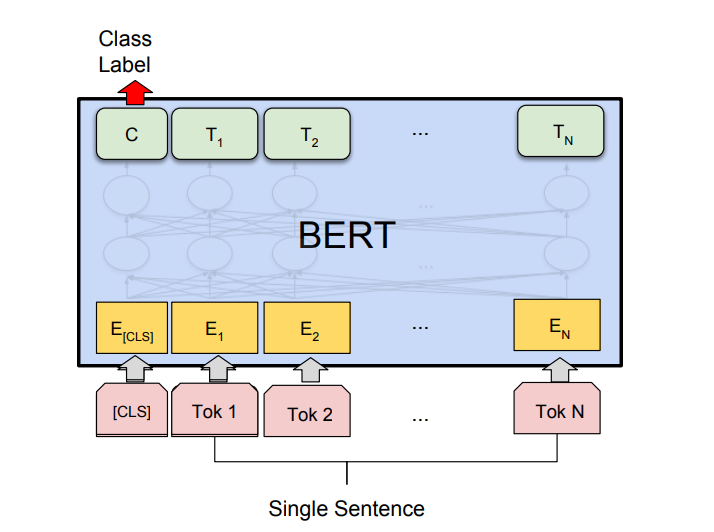 How a BERT classifier works