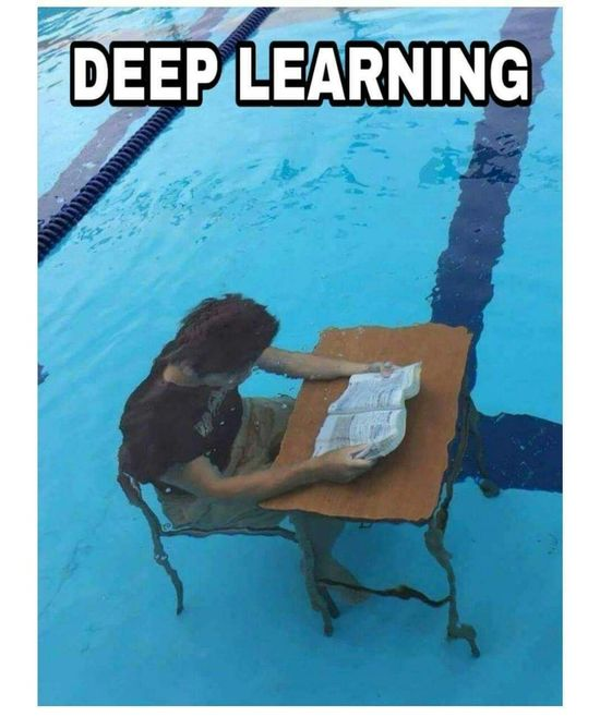 Relevant meme to avoid the pain of CS2109S